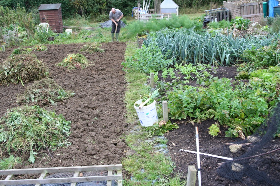 My no dig allotment - Stephanie Hafferty