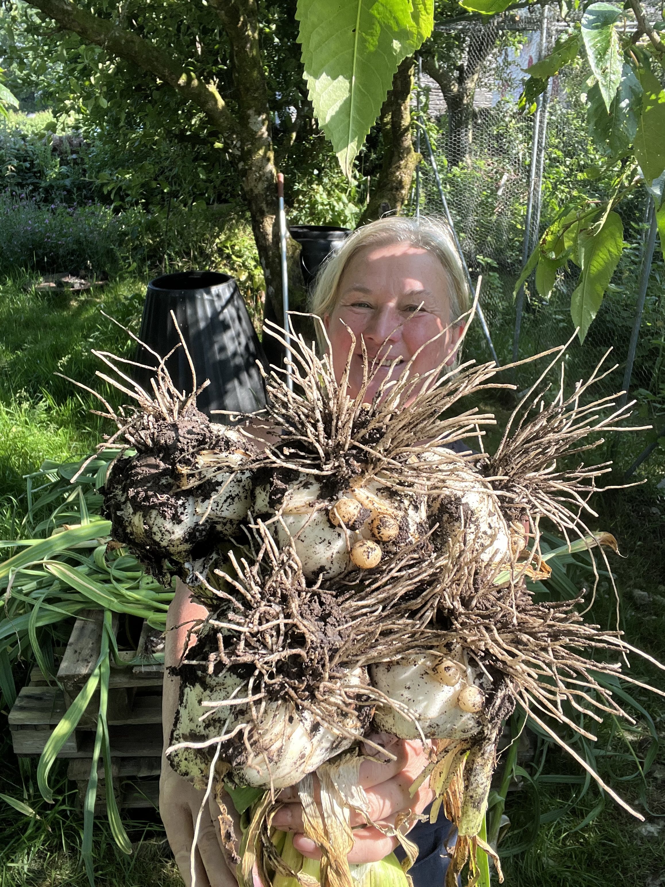 Midsummer update from my homestead - Stephanie Hafferty
